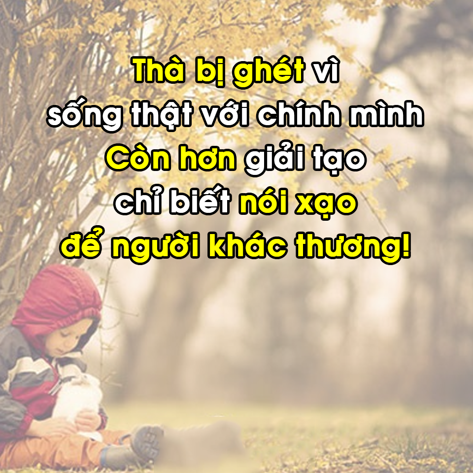 Những Hình Ảnh Stt Đểu Chất Nhất