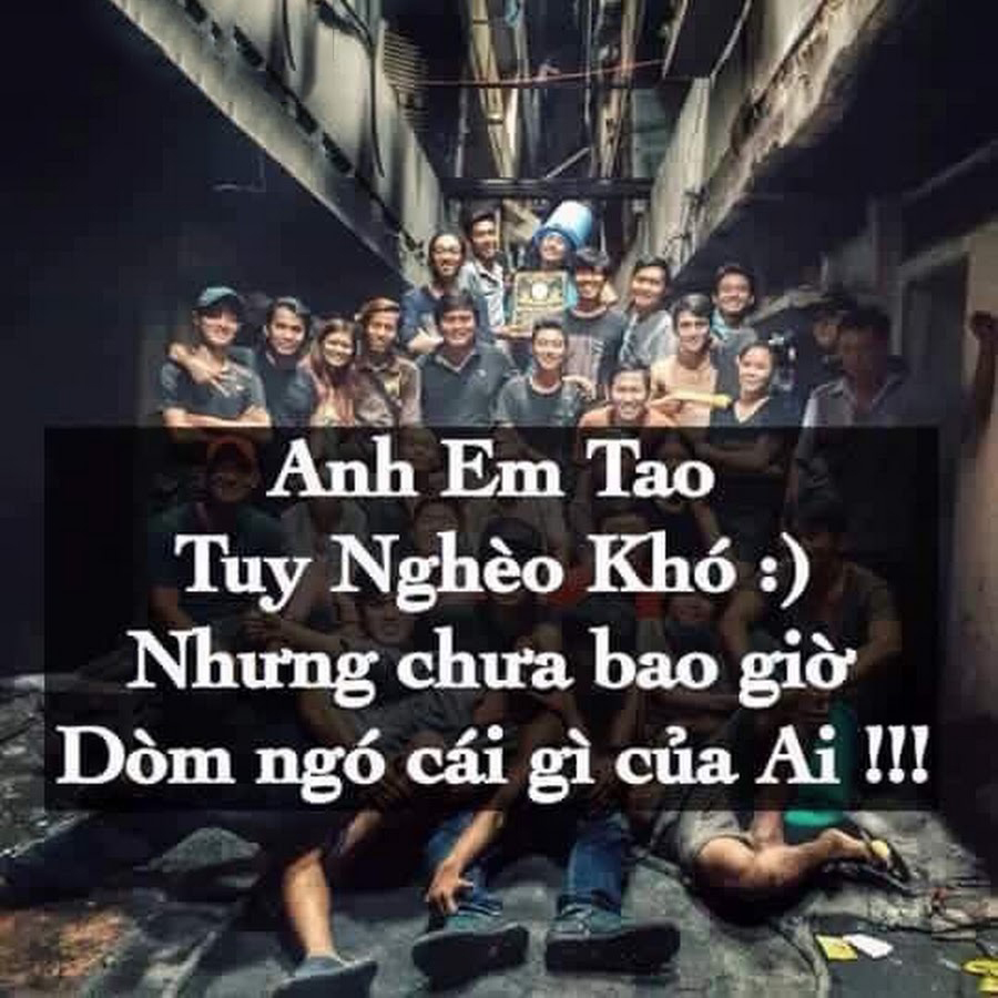 Những hình ảnh stt đểu chất nhất