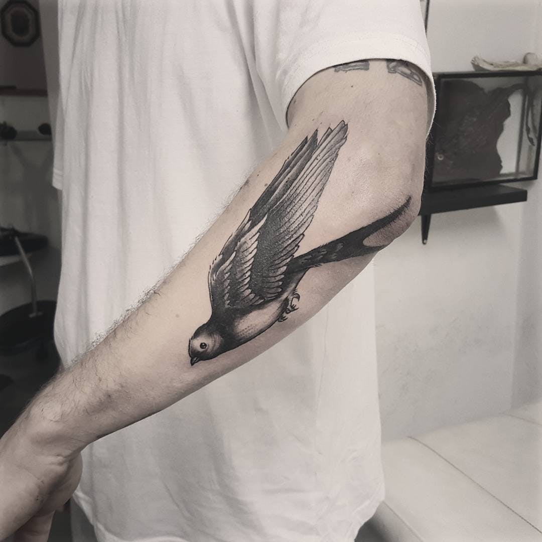 Hình xăm chim én ở cánh tay nam đẹp nhất