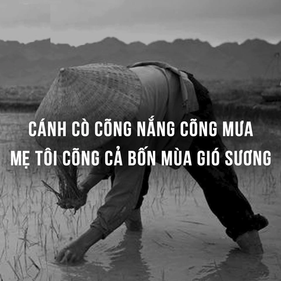 Hình ảnh buồn mà ý nghĩa về người mẹ