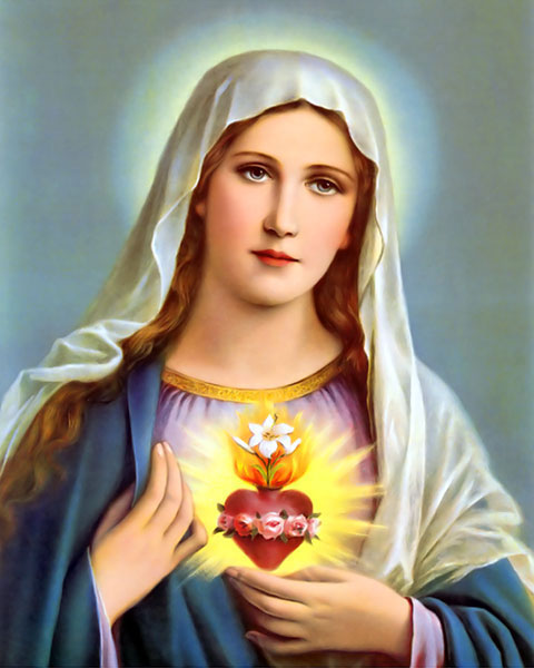 Hình ảnh đức mẹ Maria đẹp nhất nhân hậu bao dung vị tha