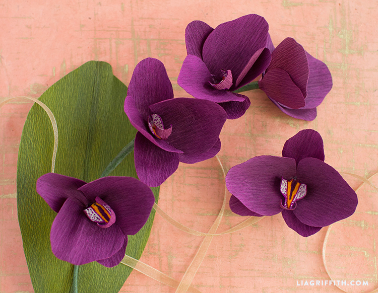 Hình ảnh hoa lan tím gấp giấy