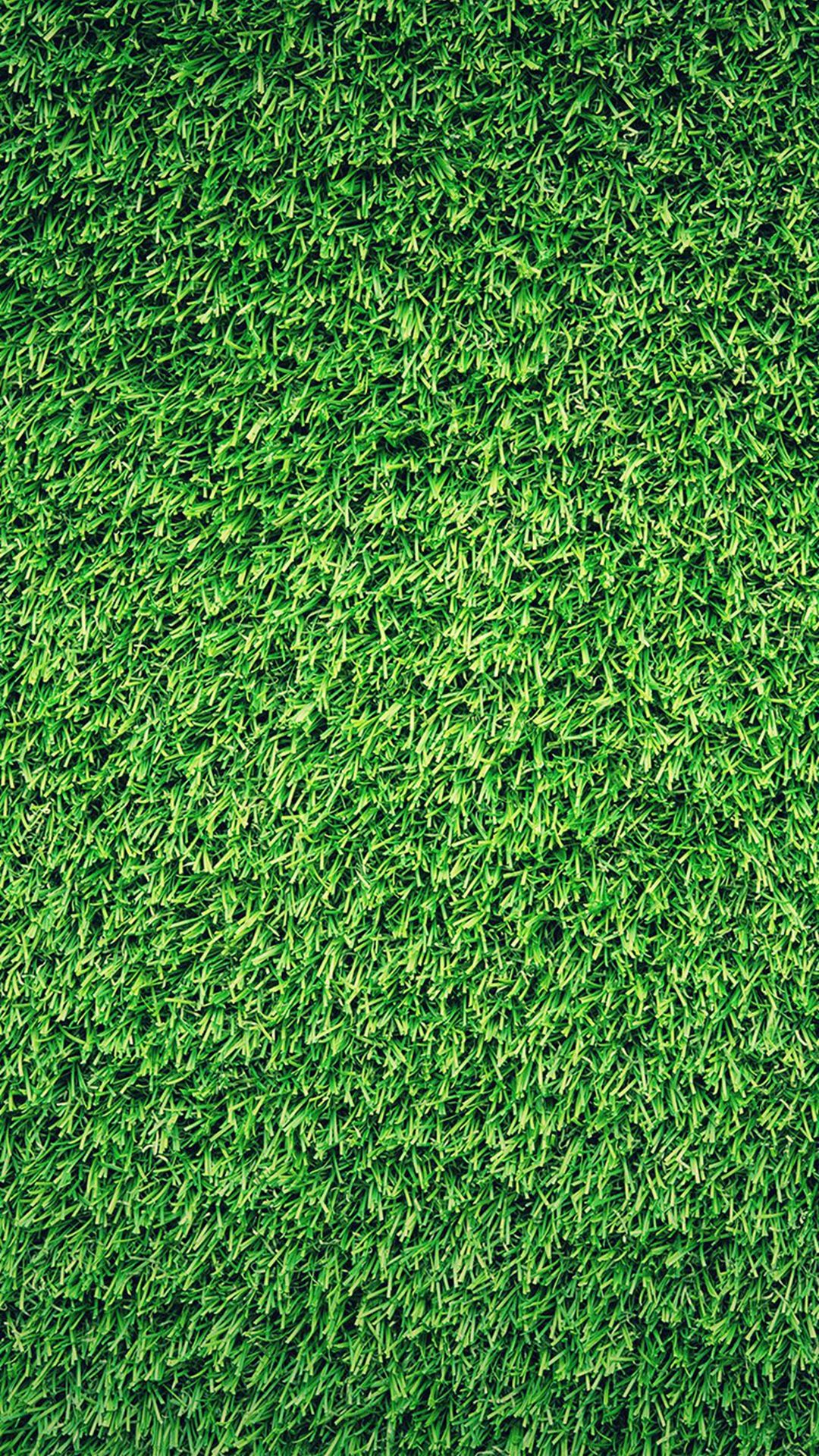 Hình nền cỏ xanh cho iPhone