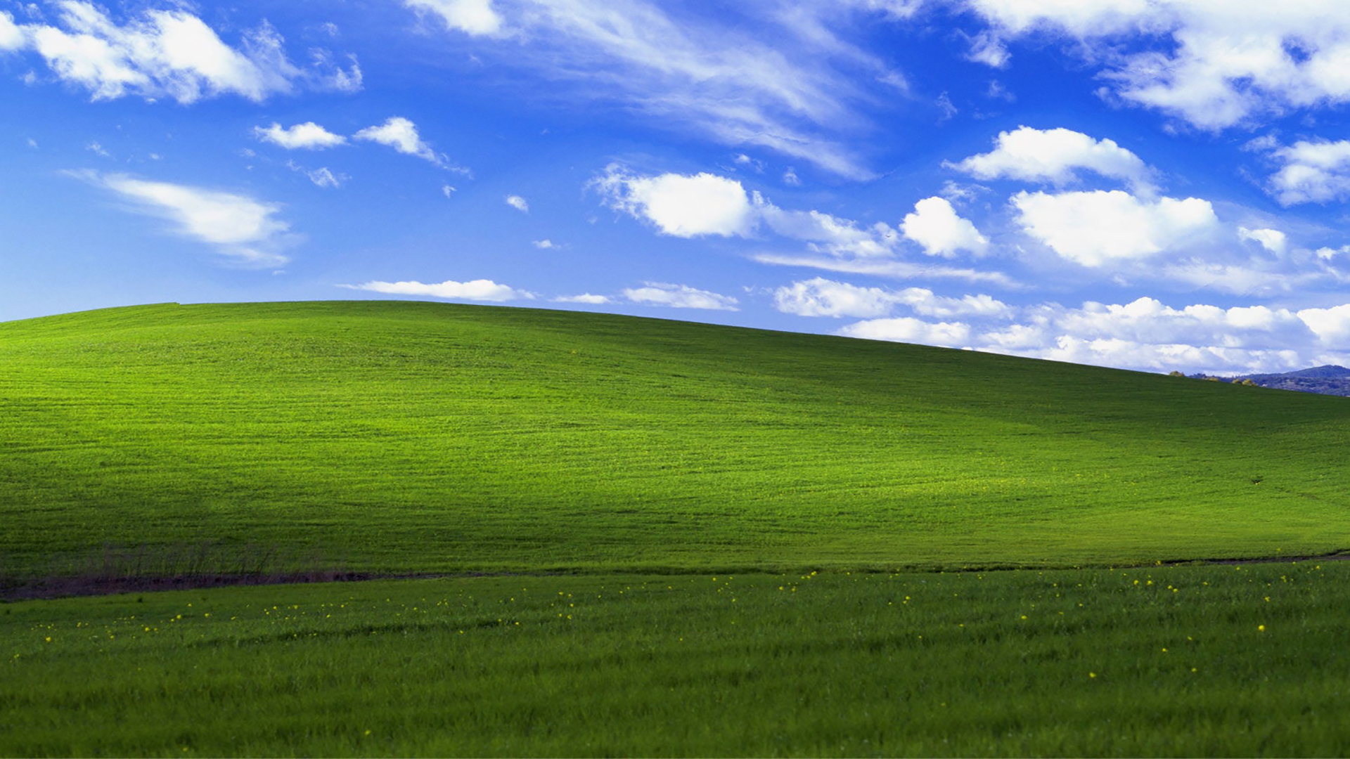 Hình nền đồng cỏ xanh windows XP