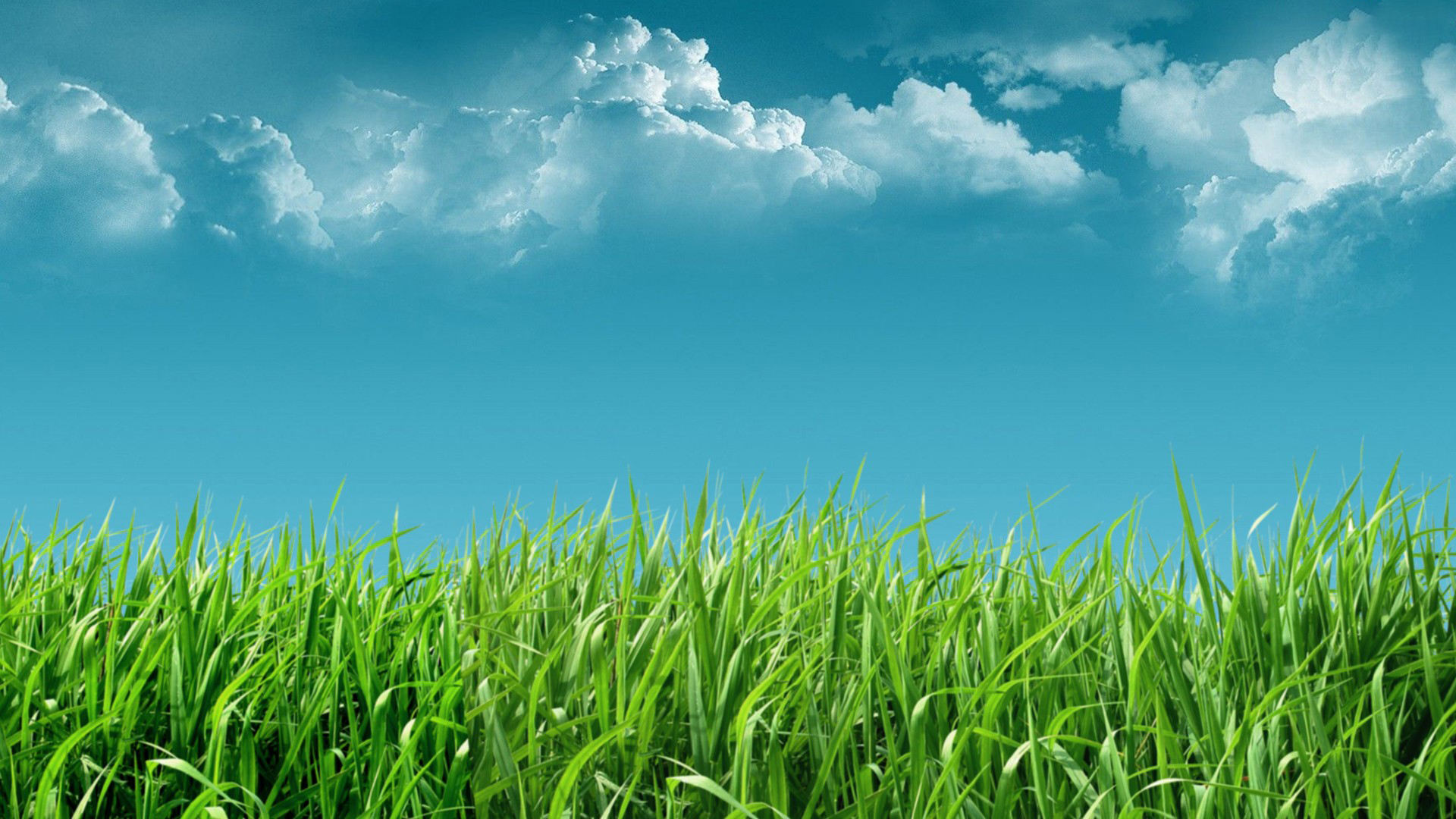 Hình nền mây và cỏ xanh