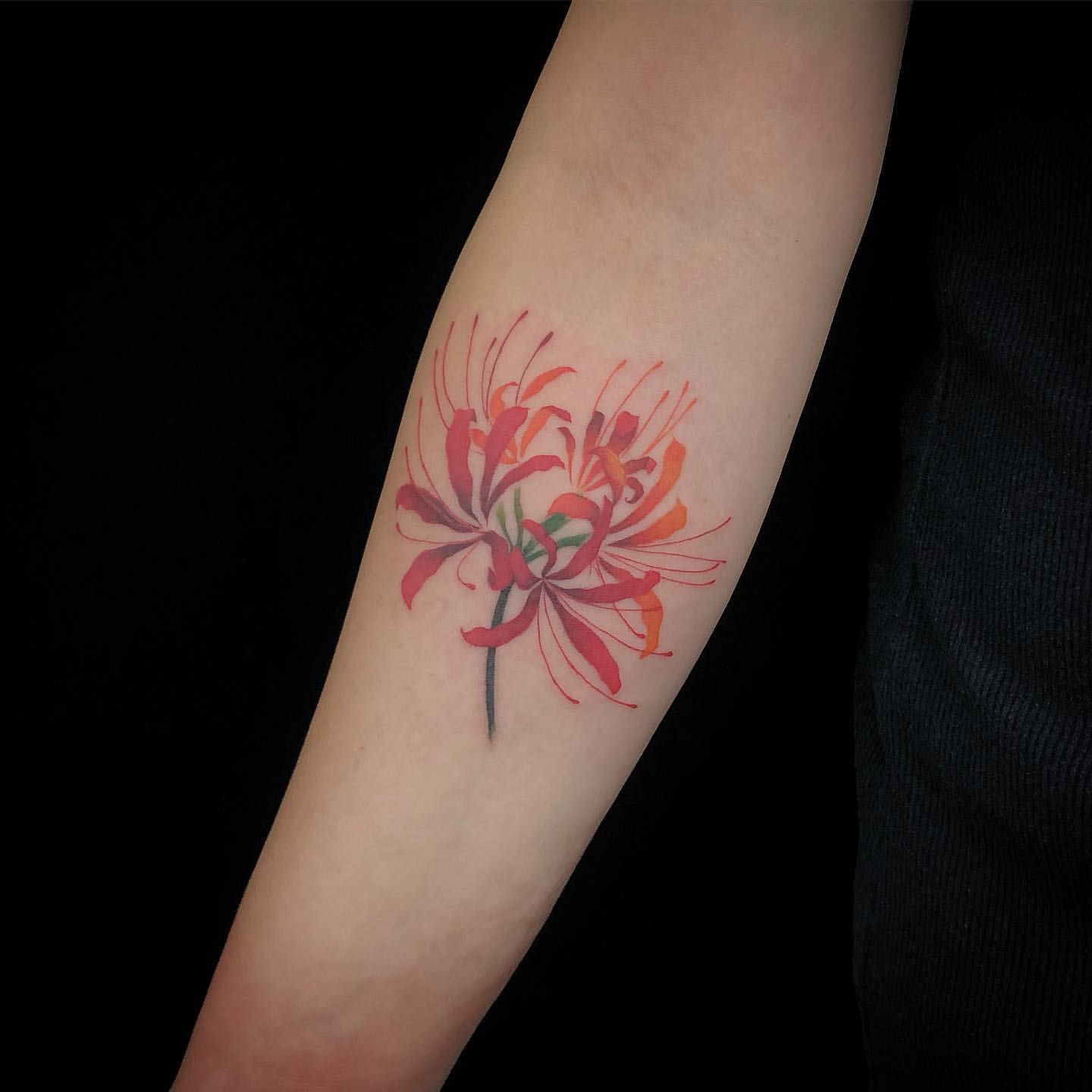 Hὶnh xǎm hoa bỉ ngạn nở rộ trên cánh tay