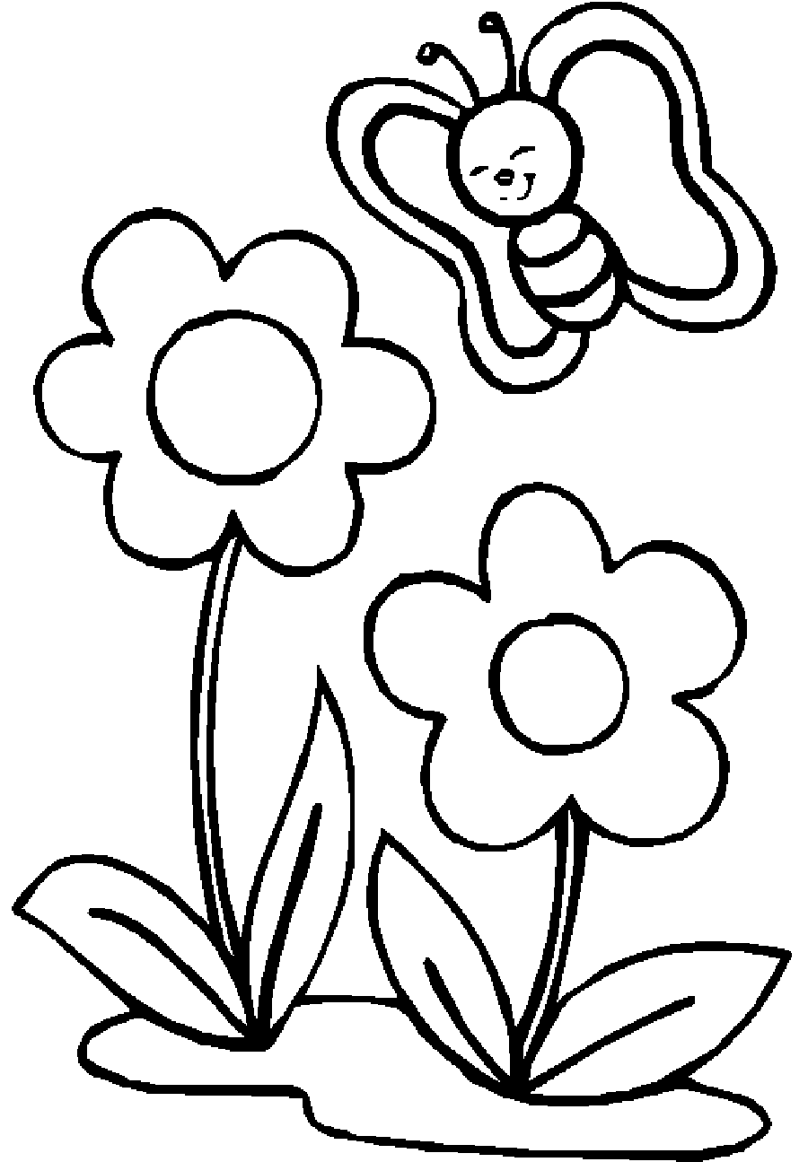 Vẽ tranh hoa mai cho bé tập tô