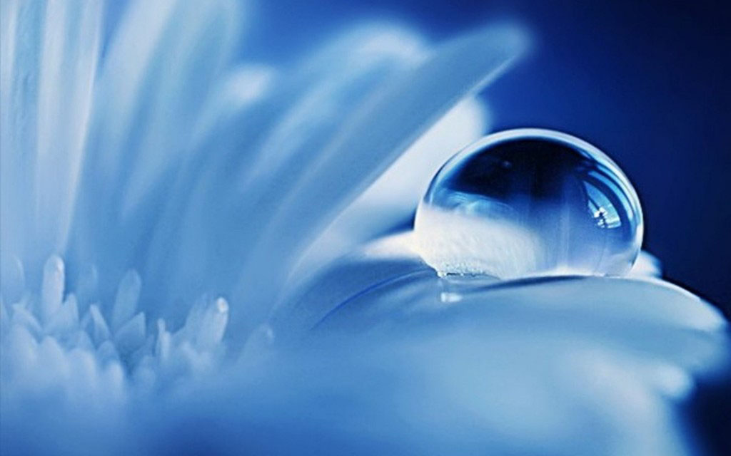 Hình ảnh đẹp về giọt nước