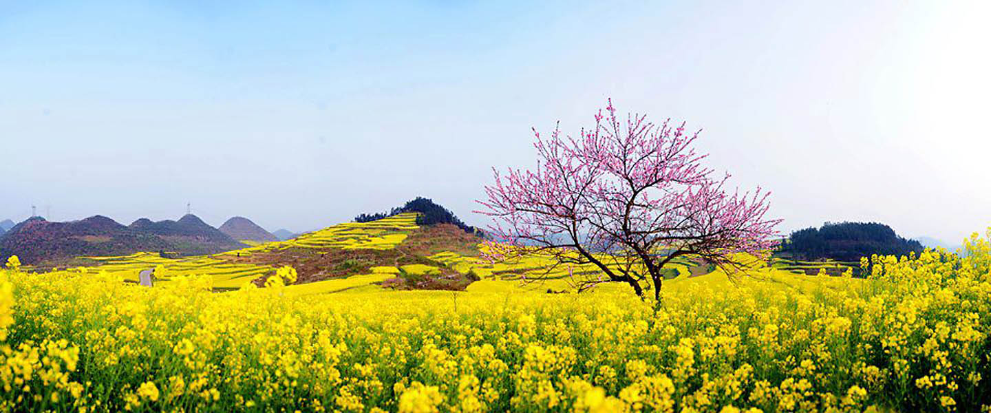 Hình ảnh thiên nhiên tuyệt đẹp [thơ mộng và lãng mạn nhất] ~ Thời trang  công sở - Kênh thông tin thời trang