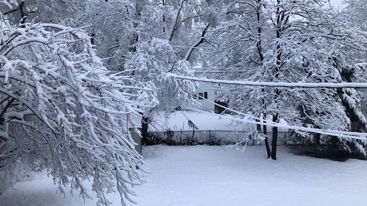 Căn nhà và khu vườn ngập trong tuyết mùa đông