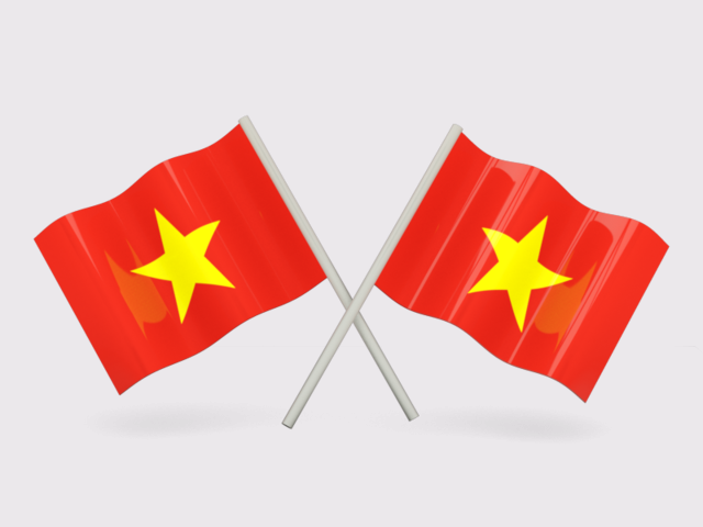 Hình ảnh lá cờ Việt Nam trên tay