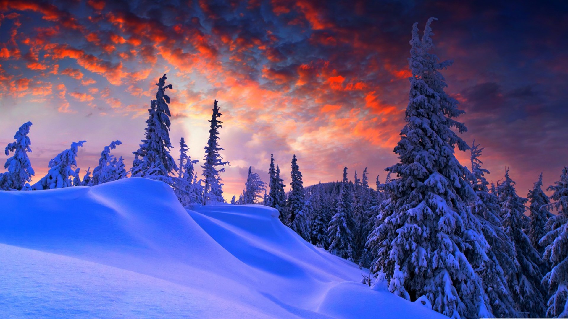 Hình ảnh mùa đông lạnh lẽo nền trời màu lạ