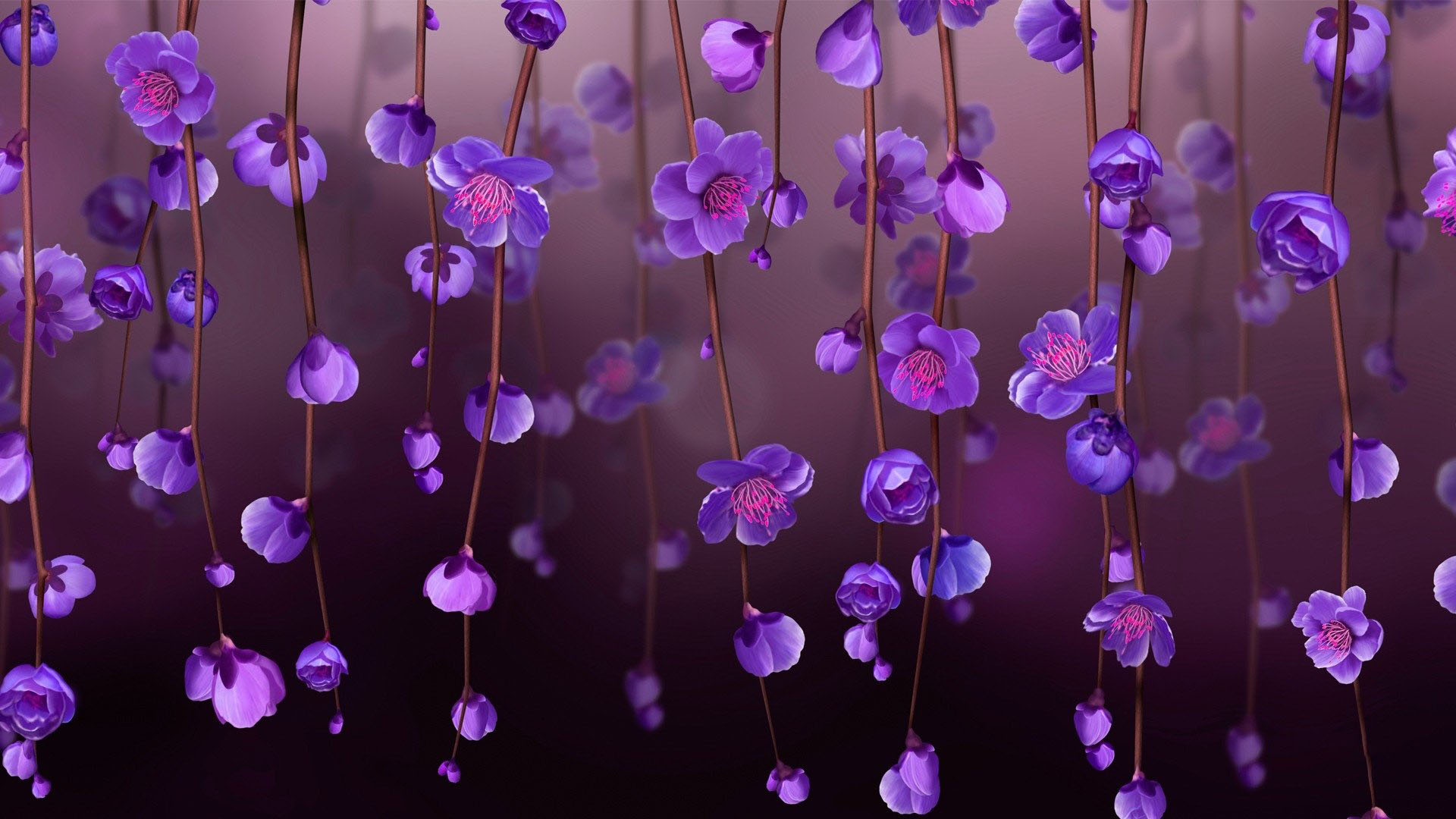 Hình nền hoa màu tím full HD