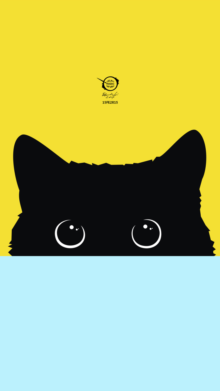 Hình nền điện thoại chú mèo đen cute