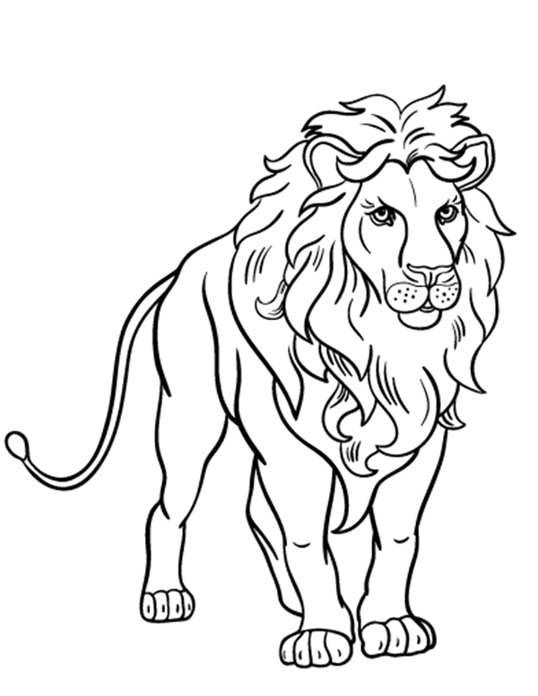 Tranh tô màu con sư tử đực