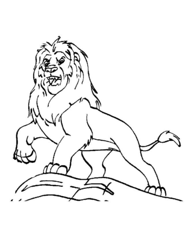 Vẽ sư tử lộng lẫy để vẽ