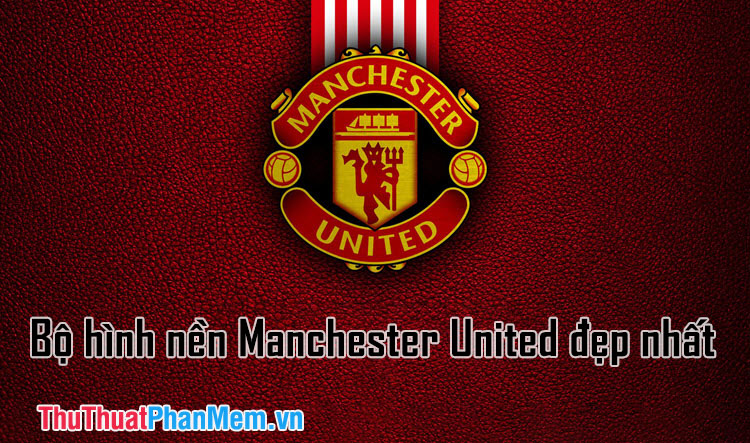 Manchester united 3d logo HD wallpapers  Pxfuel