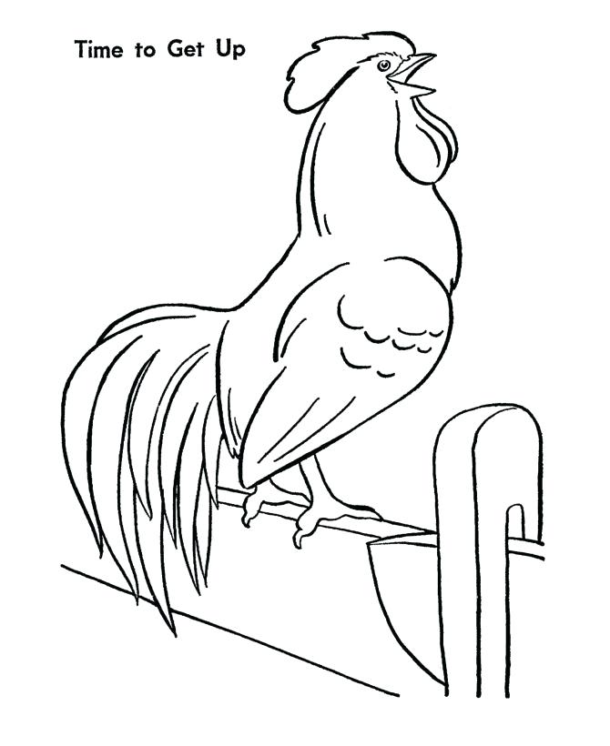 Vẽ một con gà trống rất đẹp