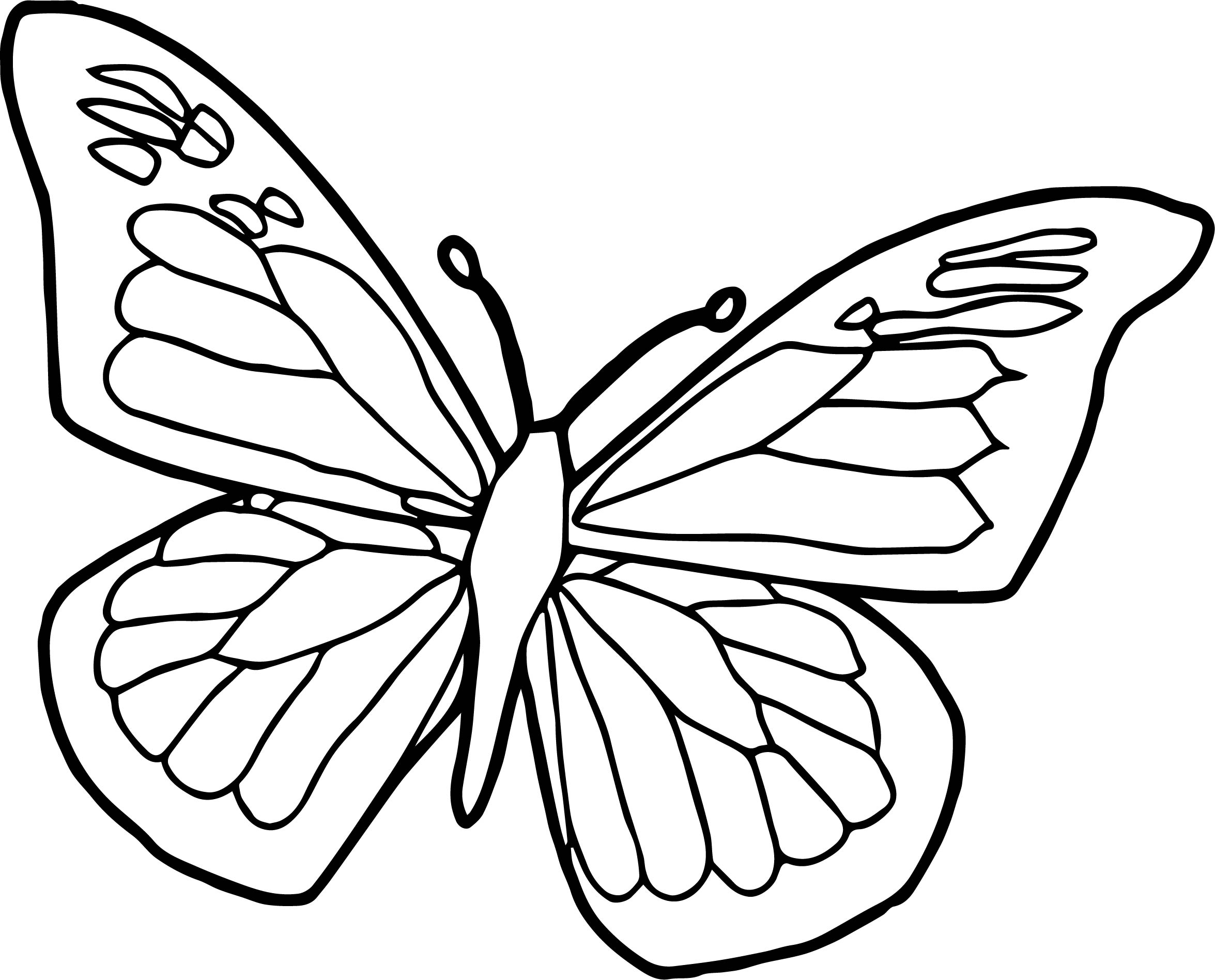 Tranh vẽ tô màu con bướm đẹp nhất cho bé