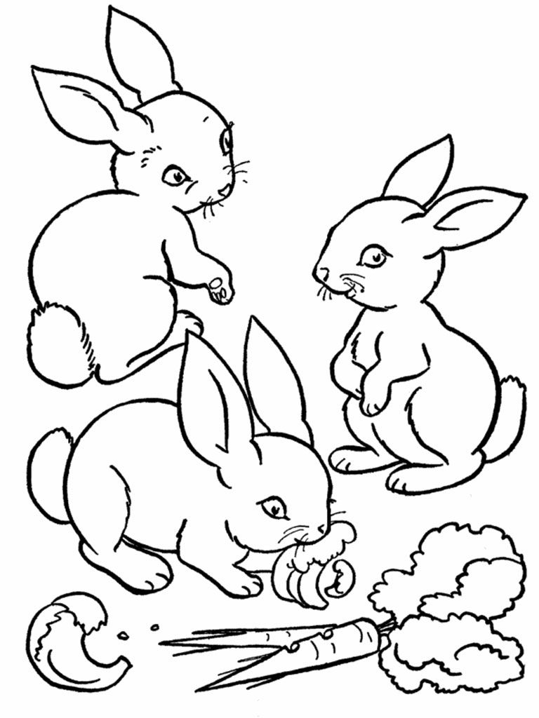 Tranh tô màu ba chú thỏ đáng yêu đang ăn cái gì đó
