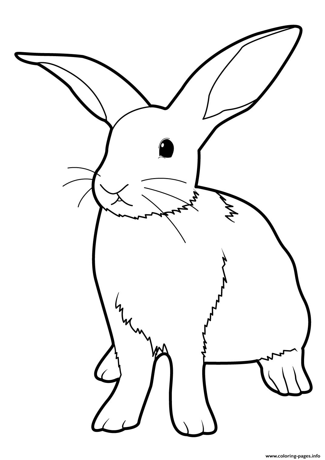 Trang màu thỏ tai dài