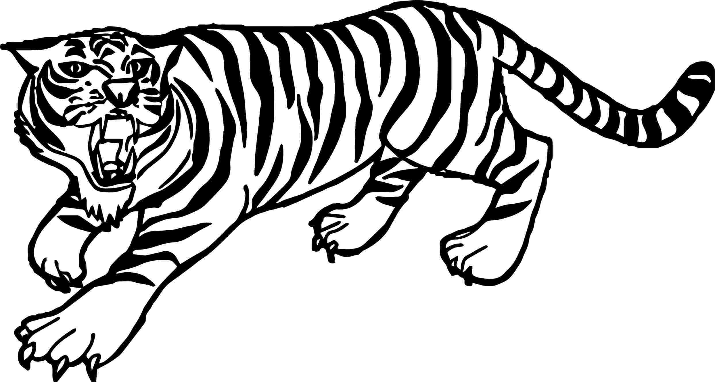 Tranh tô màu con hổ đang gào
