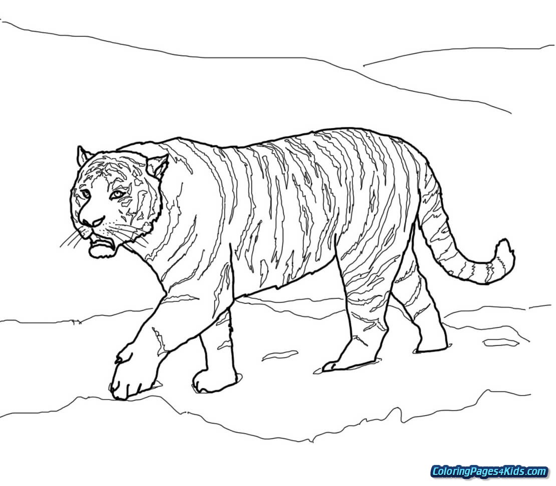 Tranh tô màu hình con hổ bước đi chậm rãi