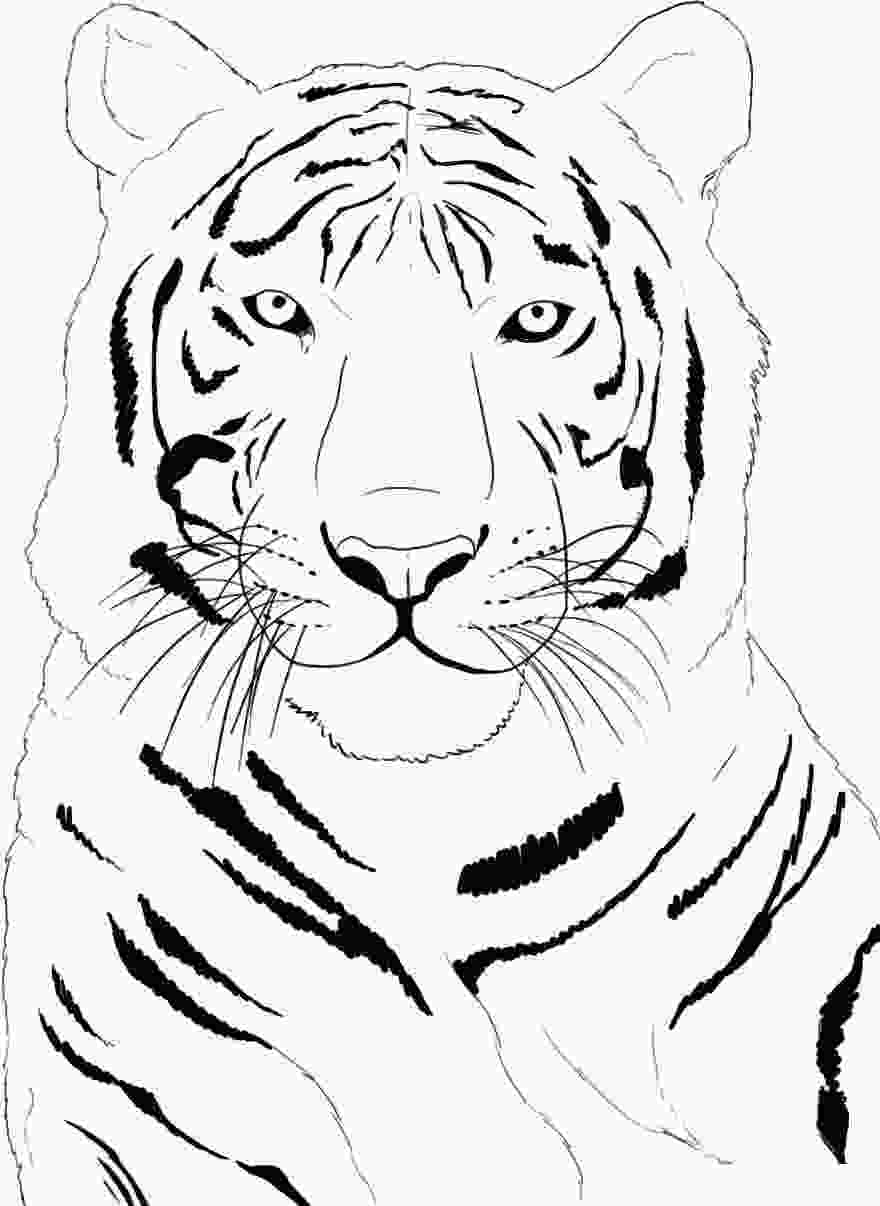 Bức tranh tô màu con hổ Marshall