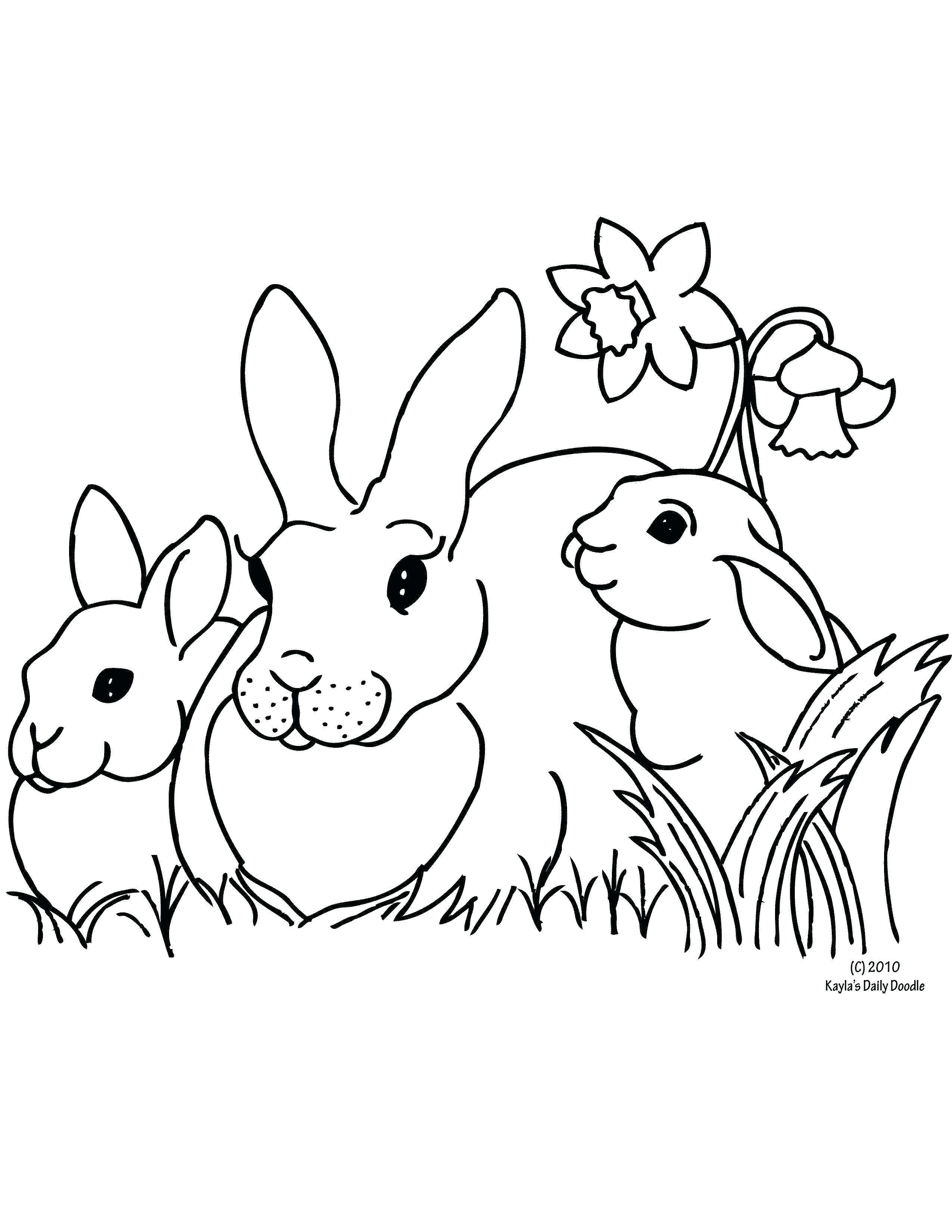 Bức tranh tô màu ngôi nhà của ba chú thỏ đứng cạnh cành hoa
