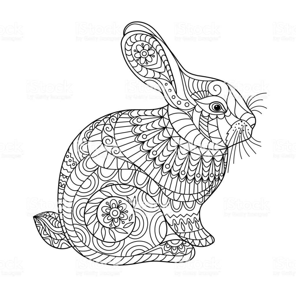 Trang màu con thỏ và nhiều họa tiết