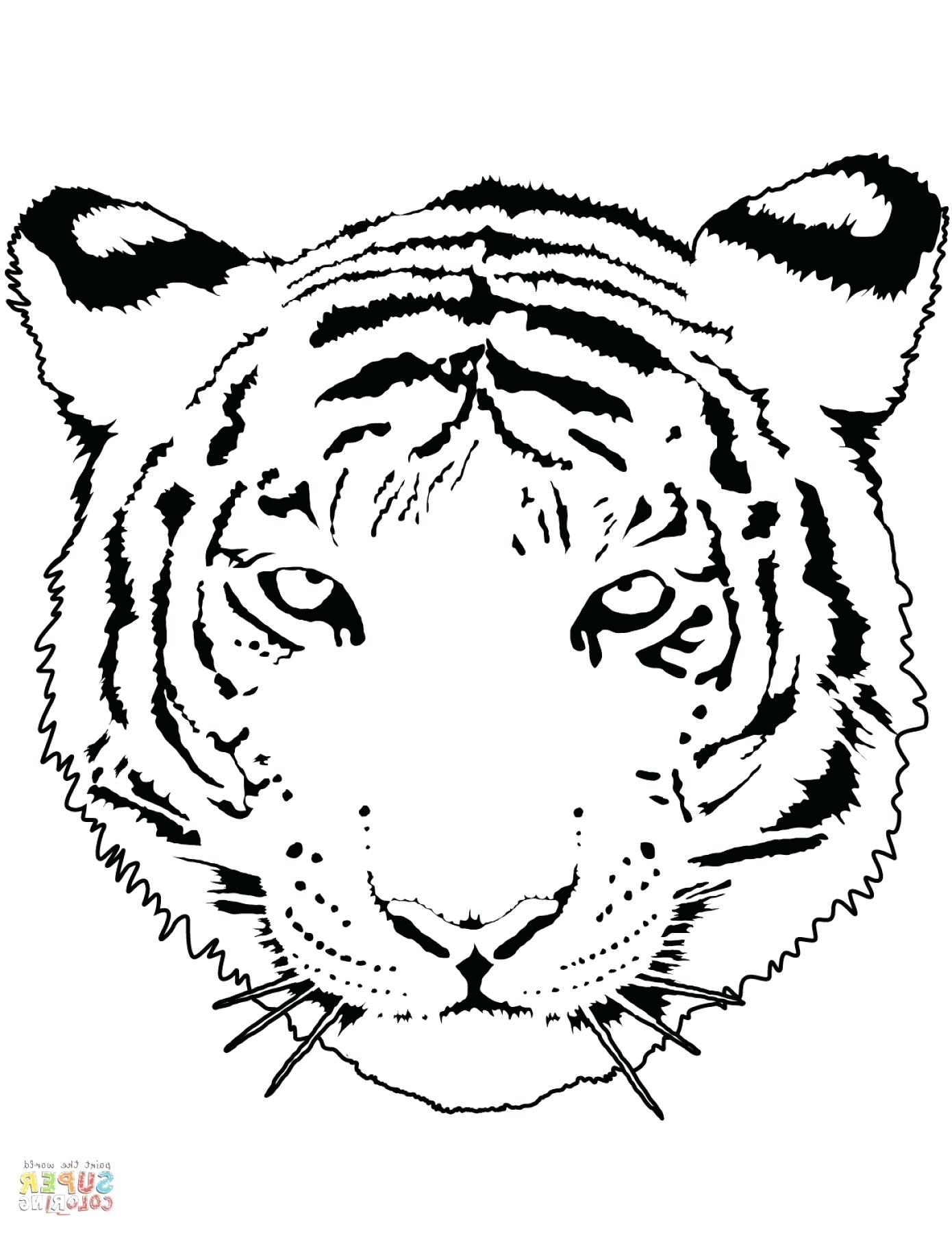 Cuốn sách tô màu hình con hổ rất đẹp