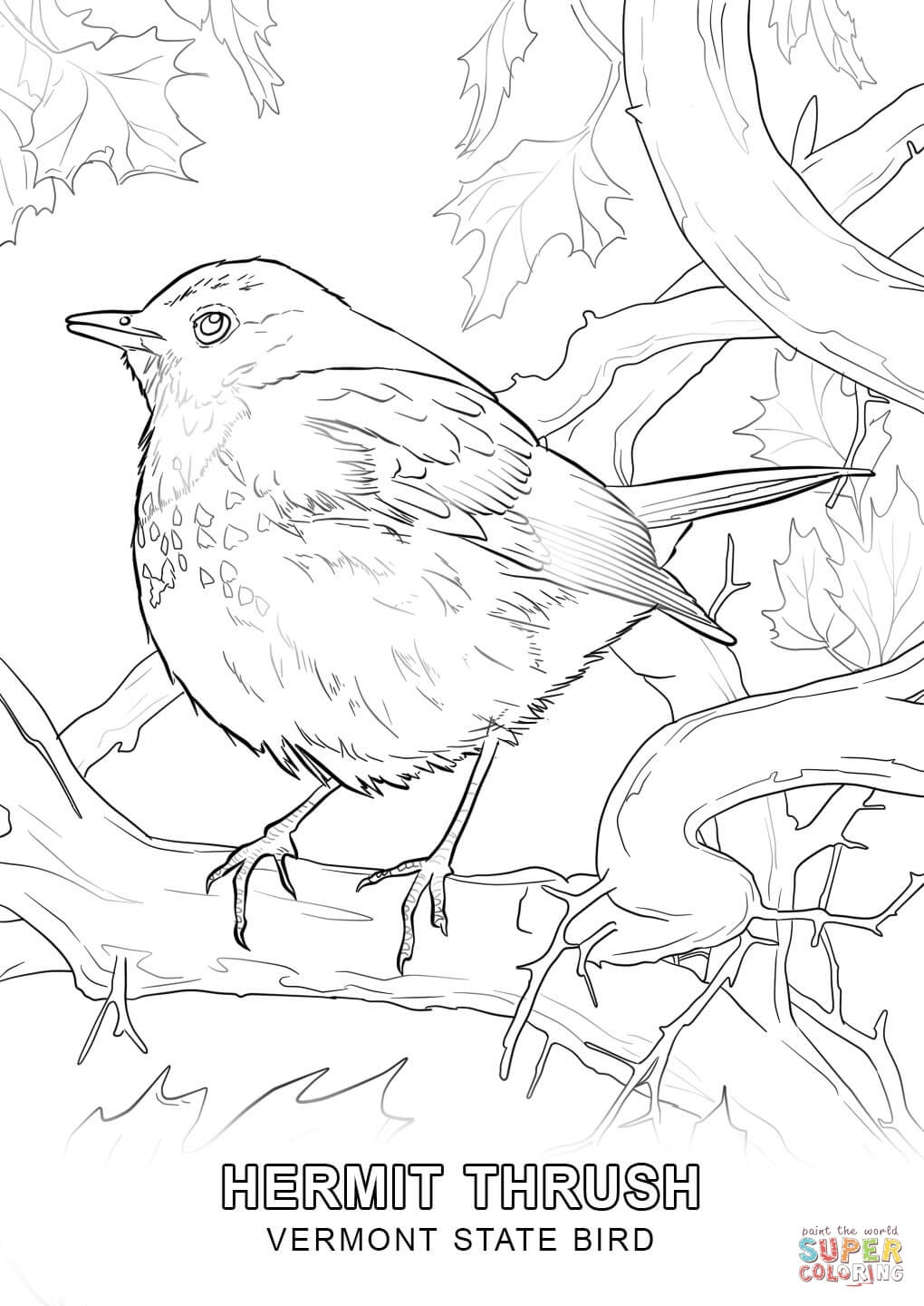 Tranh tô màu tả thực chú chim sẻ béo đậu trên cành cây