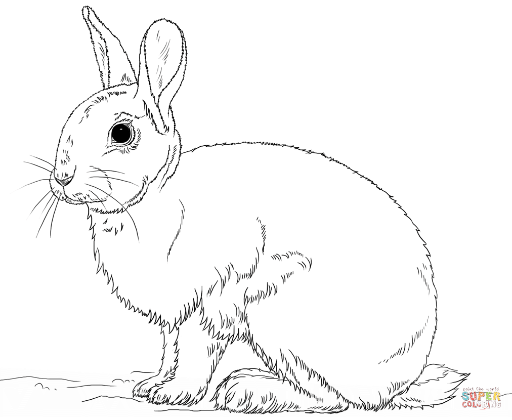 Tranh tô màu vẽ theo phong cách hiện thực chú thỏ lớn