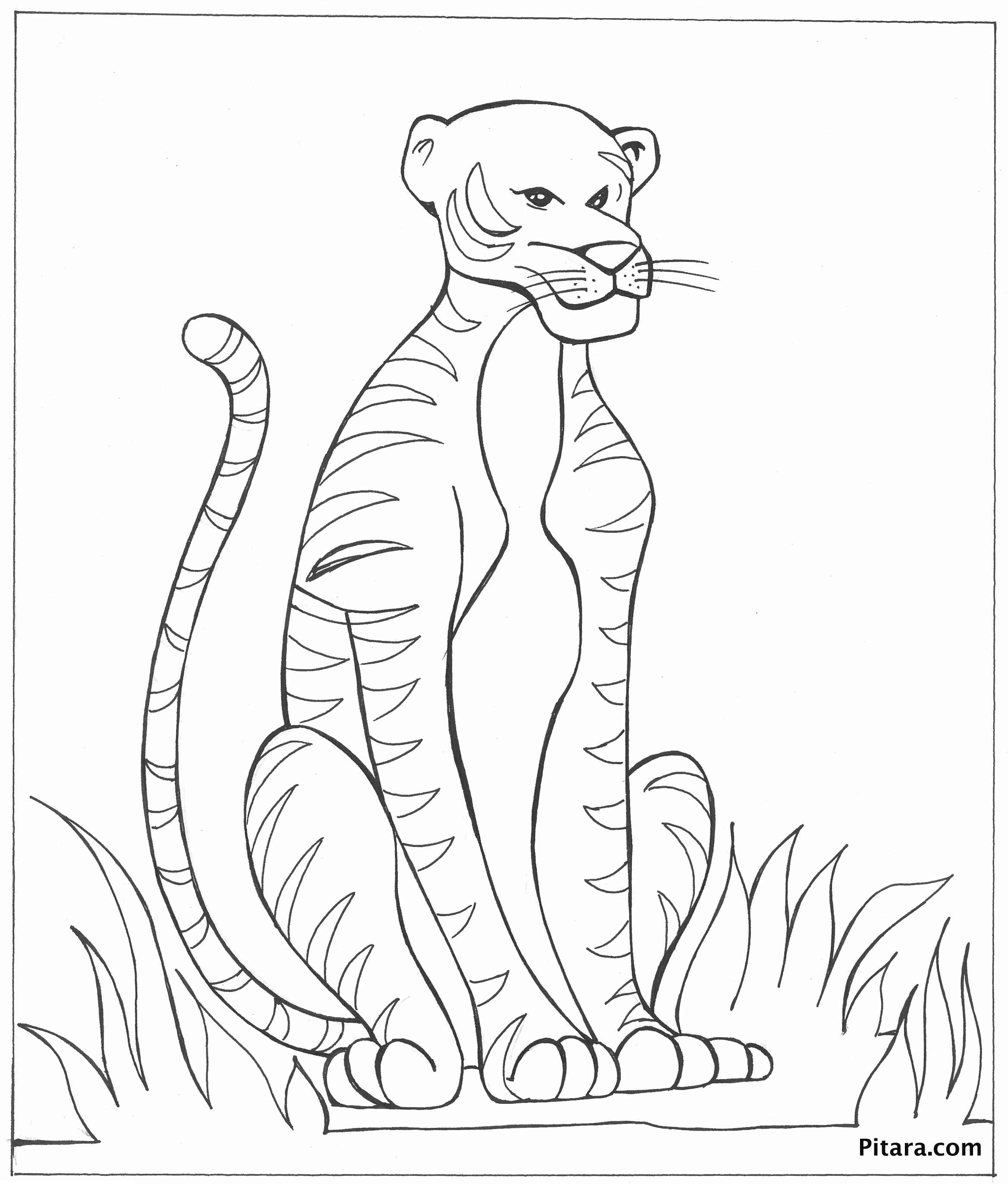 Bức tranh màu với một con hổ với khuôn mặt khá xấu xí