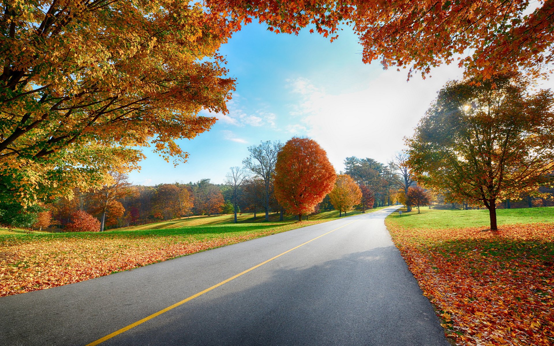 Con đường lá rụng mùa thu đỏ rực một mảng cực đẹp