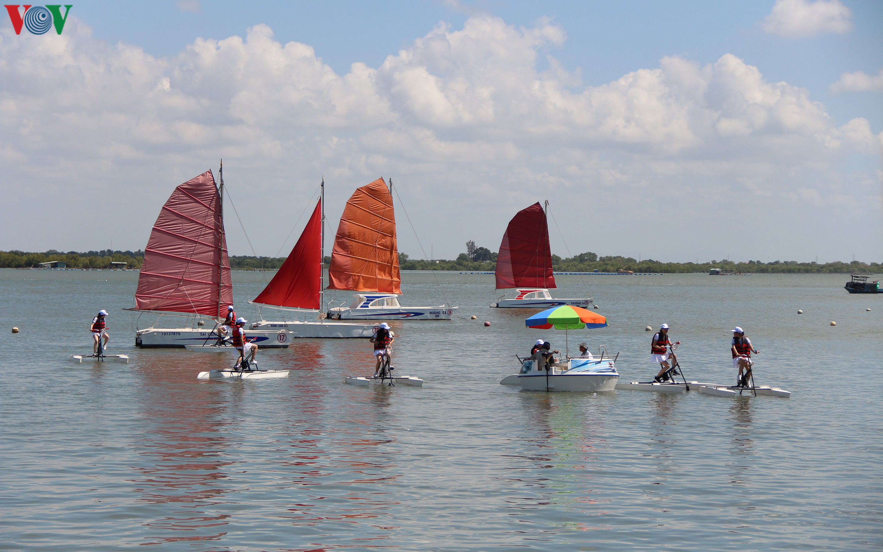 Những cánh buồm đỏ trong hội đua thuyền Vũng Tàu