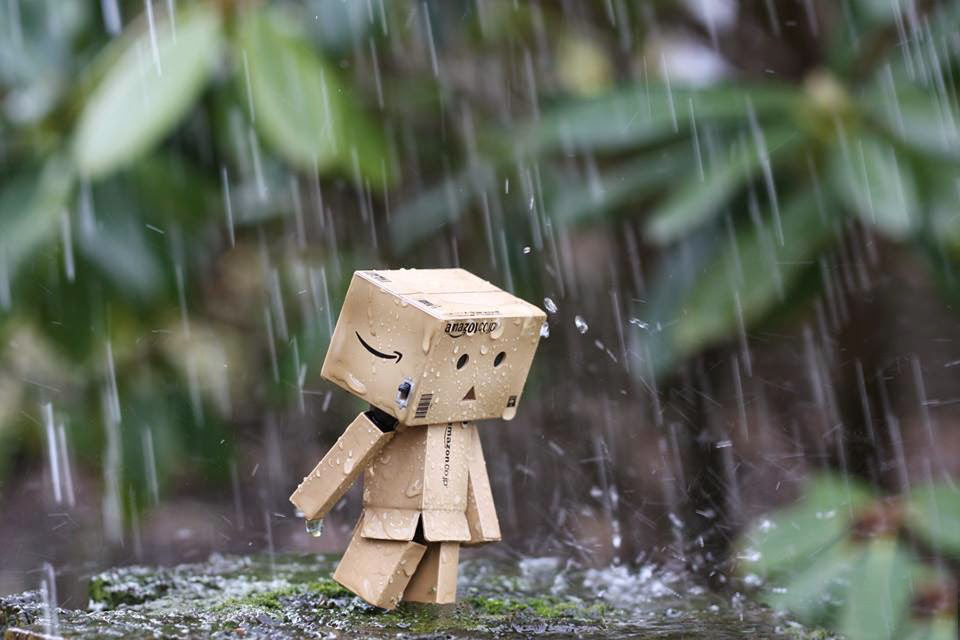 Hình ảnh người gỗ buồn rầu đi trong mưa