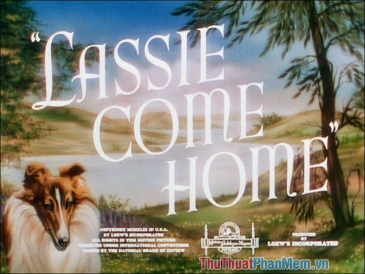 Lassie come home – Lassie về nhà (1943)