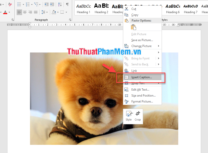 Chọn Insert Caption