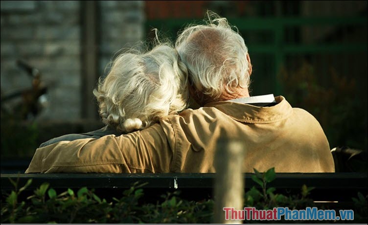 Bách niên giai lão chính là lời chúc vợ chồng được hạnh phúc lâu bền, chung sống cùng nhau đến trọn đời