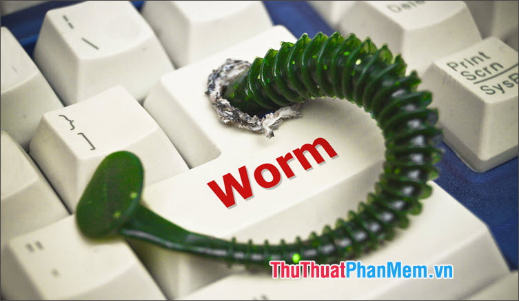 Worm – Sâu máy tính