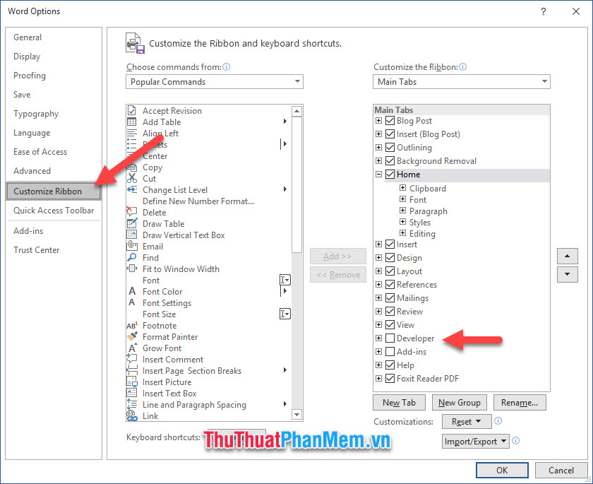 Nhìn sang phần sanh sách Main Tabs bên tay phải các bạn có thể thấy một tab tên là Developer đã bị mặc định tắt