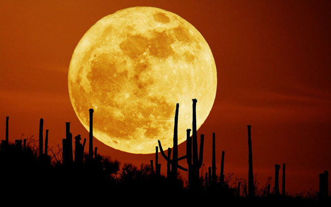 Hình ảnh siêu trăng cực đẹp ở sa mạc