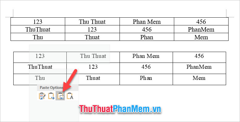 Chọn Picture trong danh sách Paste Options để có thể dán bảng dữ liệu vừa copy dưới dạng ảnh