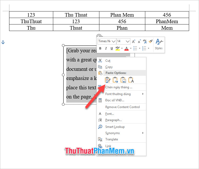 Copy bảng dữ liệu và Paste trực tiếp nó vào Text Box mà mình vừa tạo