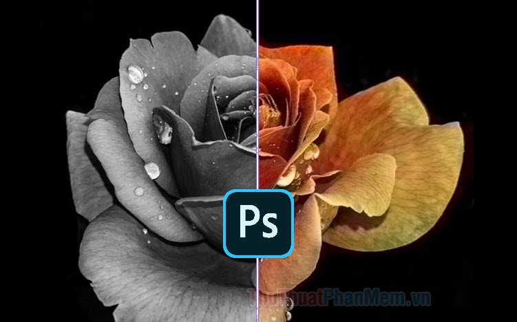 Chuyển ảnh màu sang đen trắng bằng Photoshop là công việc đơn giản nhưng hoàn hảo để biến những bức ảnh thường thành nghệ thuật. Với một vài thao tác đơn giản, bạn sẽ có được bức ảnh đen trắng tuyệt đẹp. Ngoài chức năng \