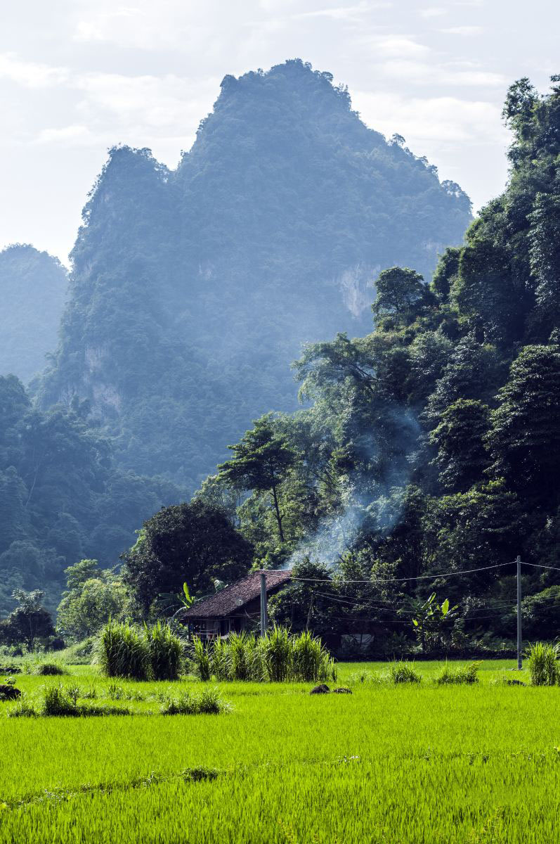 Hình ảnh về làng quê yên bình