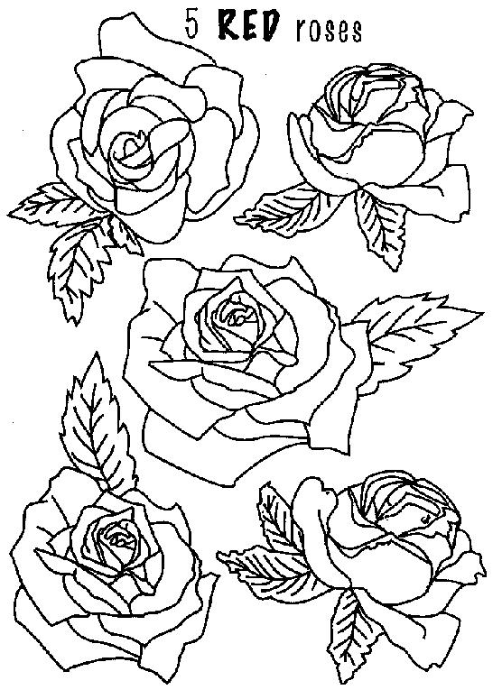 Tranh tô màu các loại hoa hồng