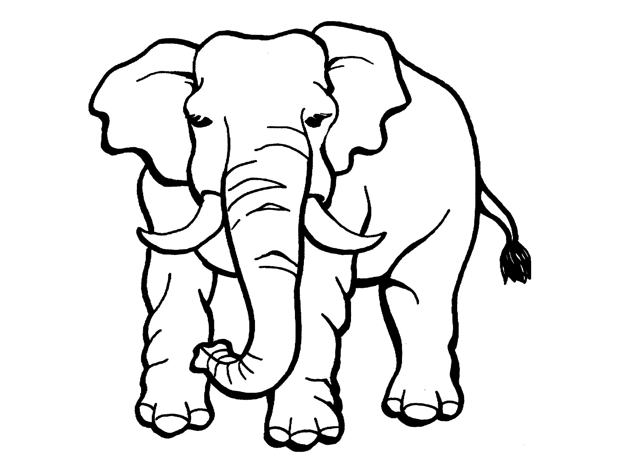 Bé tập vẽ con voi đơn giản  YouTube