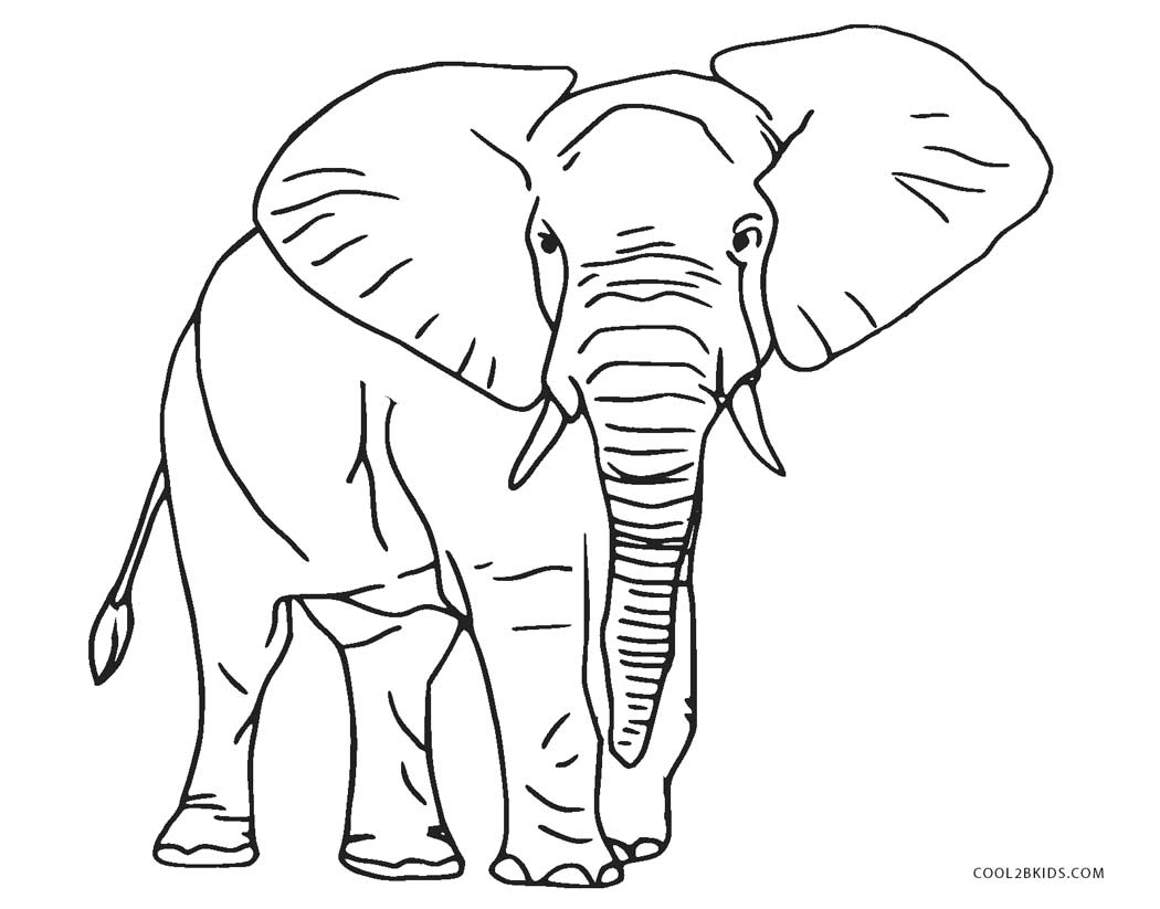 Tranh tô màu chú voi to lớn
